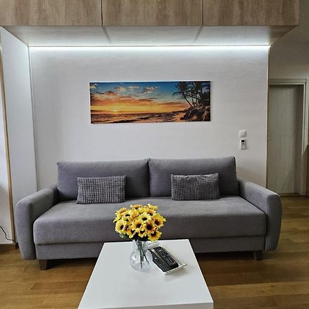 Porodicno-Poslovni Udoban Stan Apartment Beograd Bagian luar foto