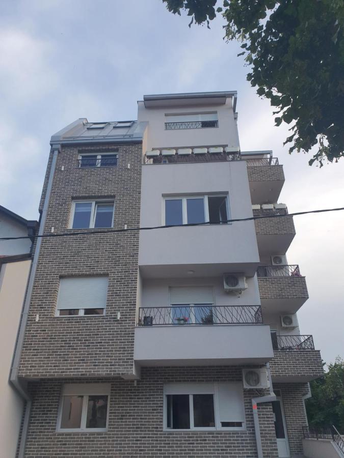 Porodicno-Poslovni Udoban Stan Apartment Beograd Bagian luar foto