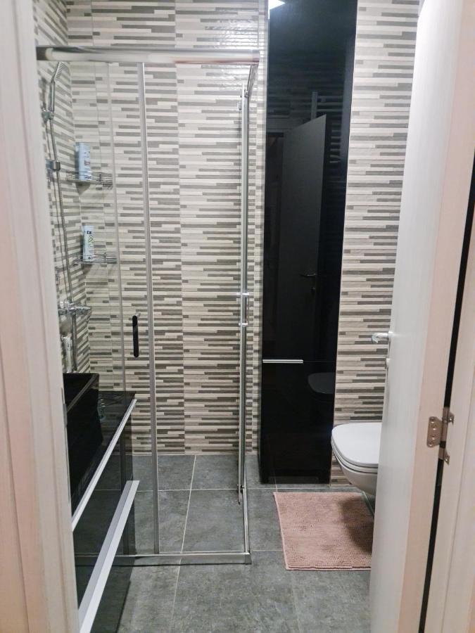 Porodicno-Poslovni Udoban Stan Apartment Beograd Bagian luar foto