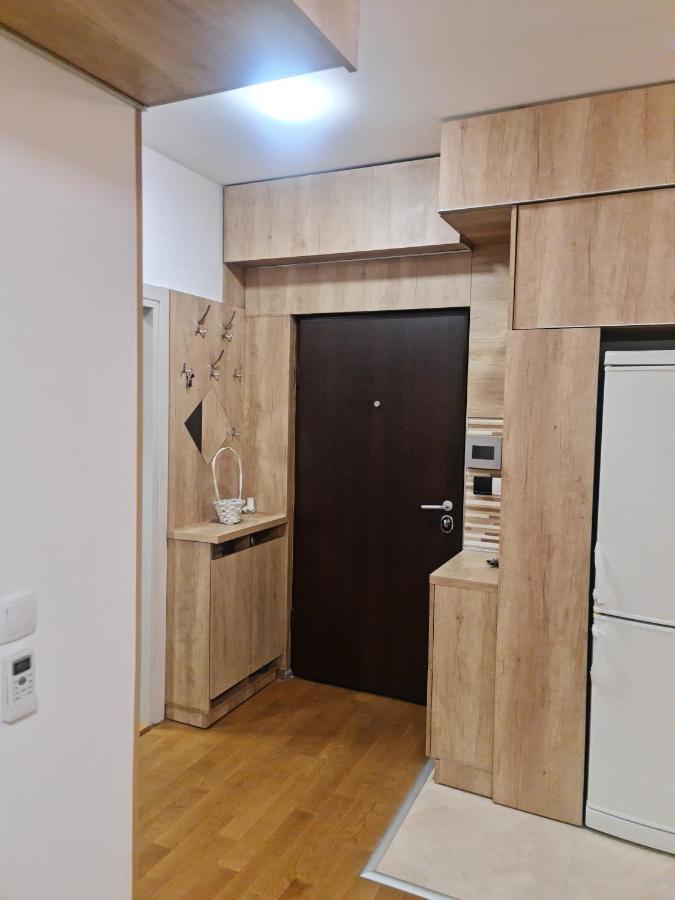 Porodicno-Poslovni Udoban Stan Apartment Beograd Bagian luar foto