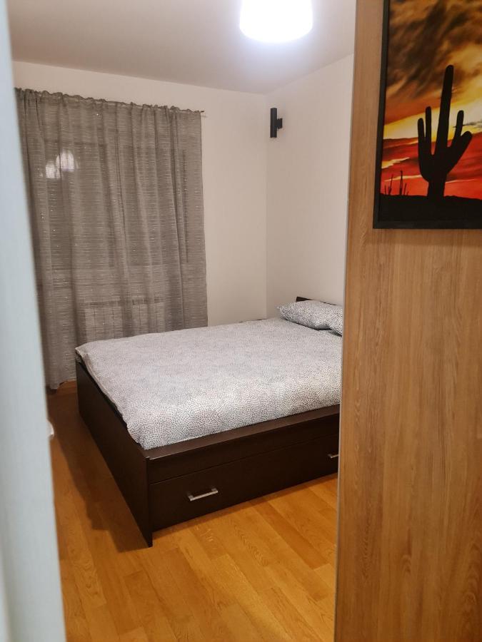 Porodicno-Poslovni Udoban Stan Apartment Beograd Bagian luar foto