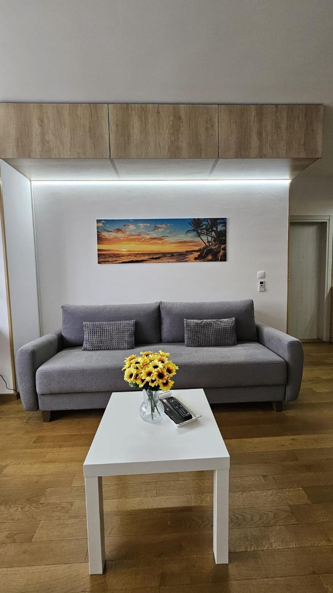 Porodicno-Poslovni Udoban Stan Apartment Beograd Bagian luar foto