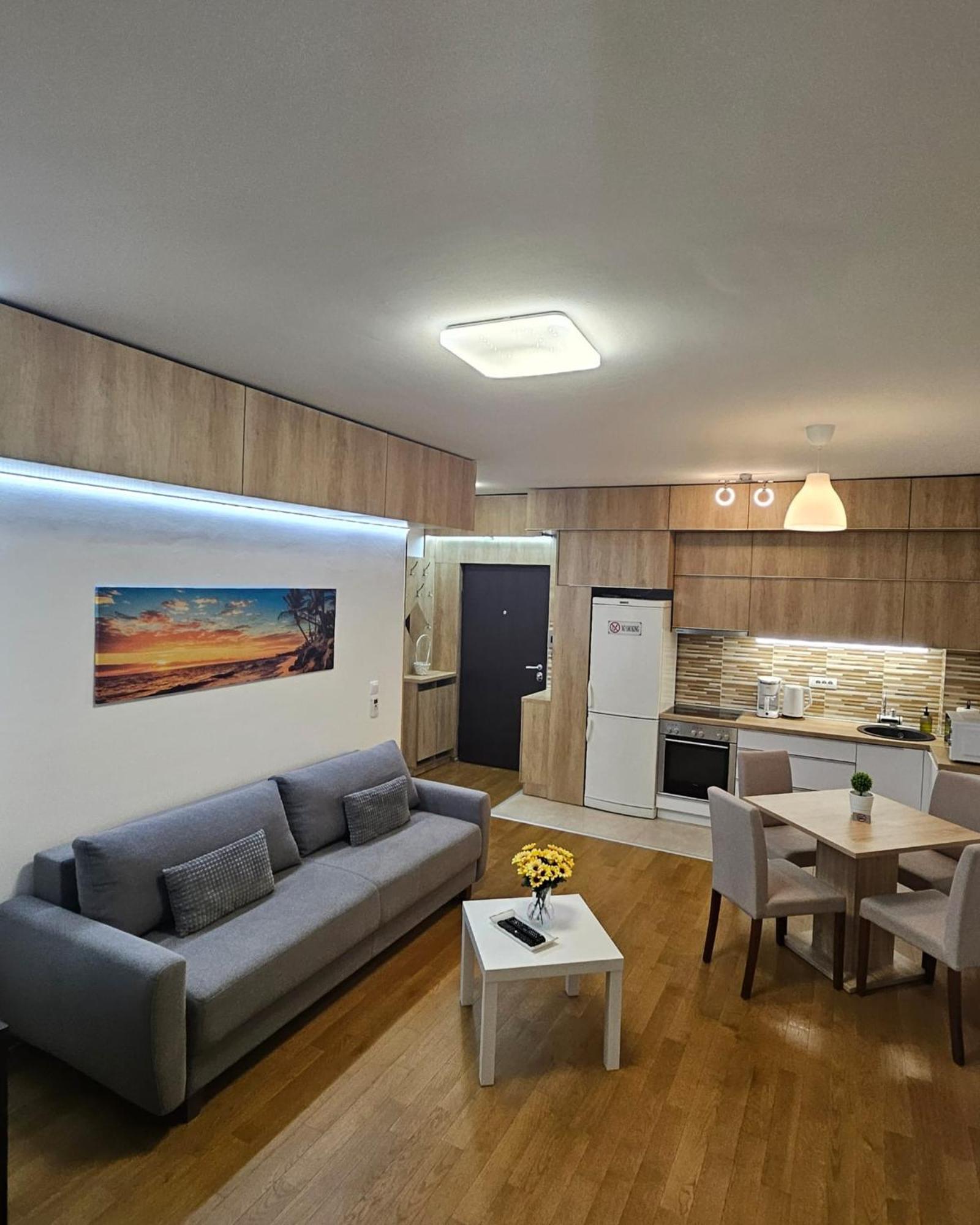 Porodicno-Poslovni Udoban Stan Apartment Beograd Bagian luar foto